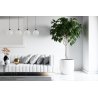 Lampa sufitowa wisząca RIFFLE, czarna konstrukcja, białe szklane kule 14cm, na 4 żarówki