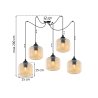 Lampa wisząca sufitowa RIFFLE, czarny pająk w stylu loft z pięcioma miodowymi kloszami, gwint E27