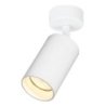Oprawa LED spot reflektor PIPE, kolor biały, do kuchni, łazienki, salonu