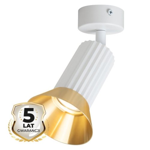 Oprawa sufitowa natynkowa reflektor TULIP, kolor biały, do kuchni, łazienki