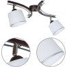 Elegancka lampa sufitowa z dwoma szklanymi kloszami i ich regulacją  Elegancka lampa sufitowa z dwoma szklanymi kloszami i ich regulacją