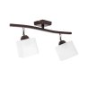 Klasyczna lampa sufitowa 2-płomienna szklane klosze Klasyczna lampa sufitowa 2-płomienna szklane klosze